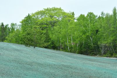 Landscape Mulching