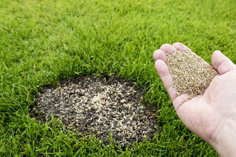 Lawn Repair Service