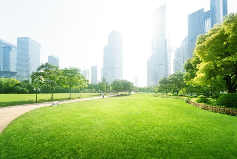 Commercial Landscaping