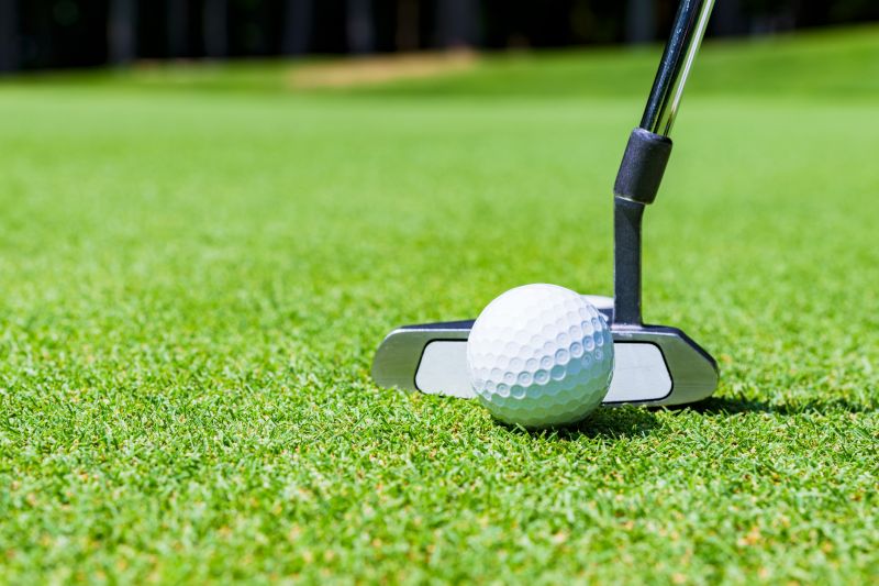 Cost of Putting Green Repair — Cost of Putting Green Repair
