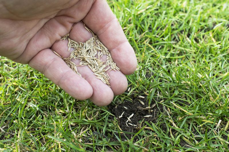 Grass Repair