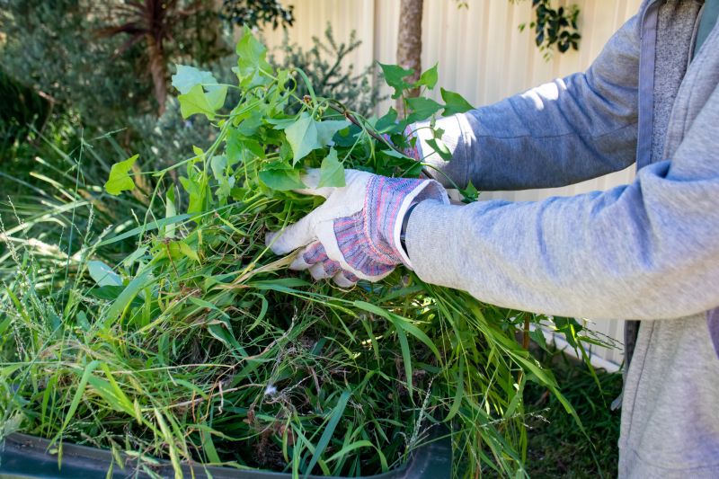 Landscaping Maintenance