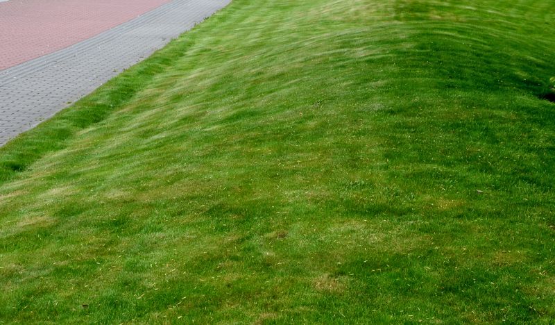 Lawn Erosion Repair