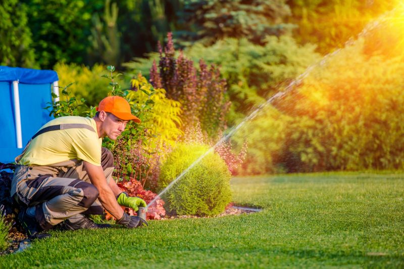 Lawn Erosion Repair