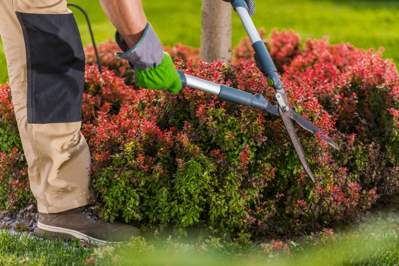 Shrub Installation