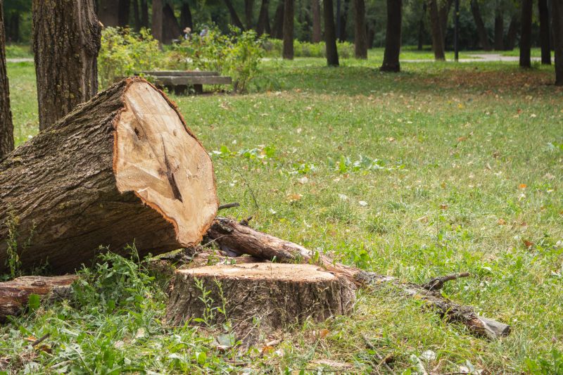 Tree Curbing Installation