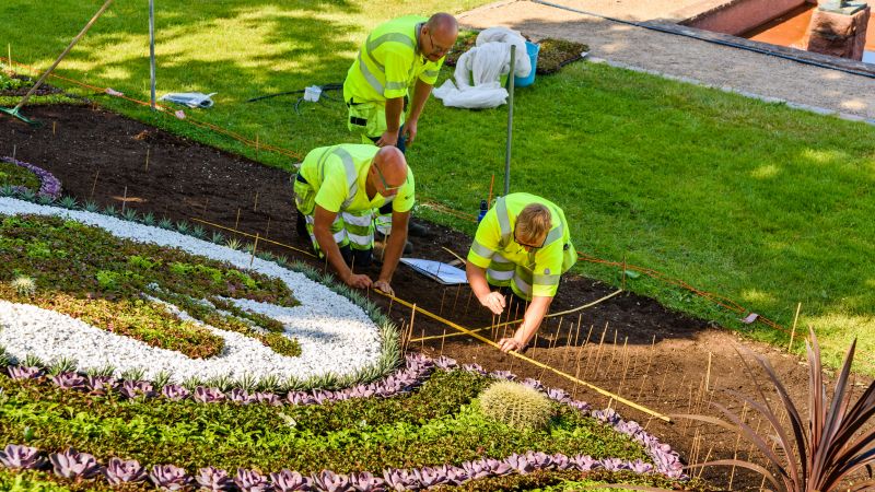 Yard Landscaping Service