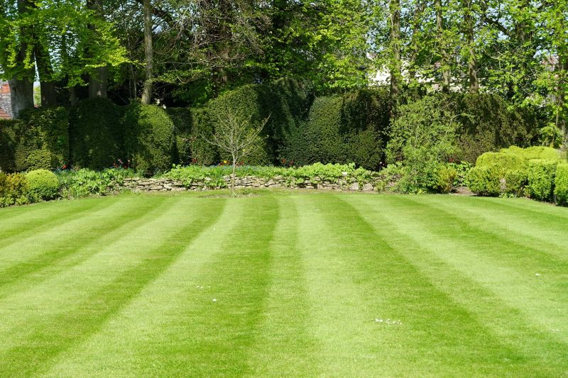 Yard Landscaping Service